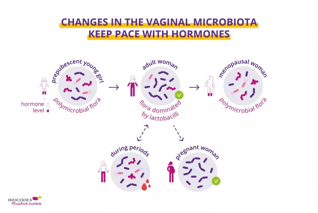 Xotin oz mushukini sotadi
